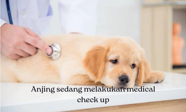 medical checkup